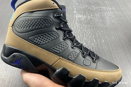 CT8019-034 660  Olive Comfortable Jordan Retro 9 Concord 0816